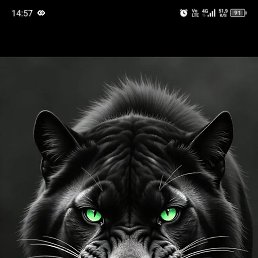 ���� ������, ���������, 35 ��� - ��������� 9 ������� 2025