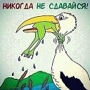 ���� �����, ������������ - ��������� 11 ���� 2026 � ������ ������ ��������