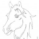 ���� �������, ���������, 64 ���� - ��������� 12 ������� 2026 � ������ ������ ��������