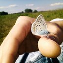 ���� ������, ������, 39 ��� - ��������� 15 ������ 2026