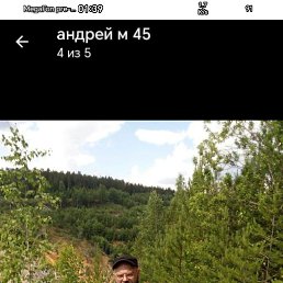 ������, 44 ����, ������������