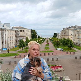 , 58, 