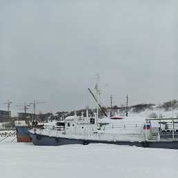 ���� ���, ������, 44 ���� - ��������� 15 ����� 2024