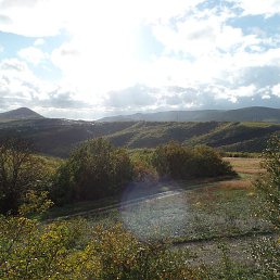 ��������, ������, 59 ���