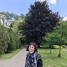 , 57, 