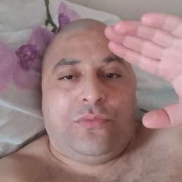 Nasib+375257679408, �����, 40 ���