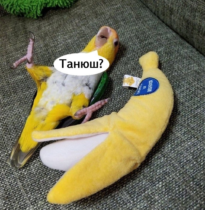 - 2