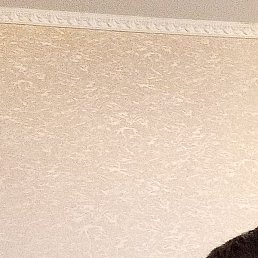 �������, ������, 41 ���