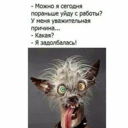 ���� ��5��, ������, 36 ��� - ��������� 1 ������ 2024