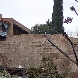 ����, �������, 29 ���