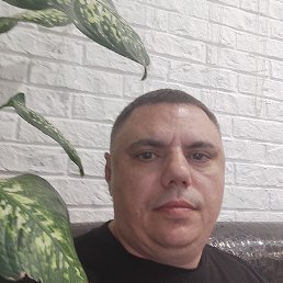 ������, 47 ���, ���������