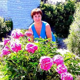 , 52, 