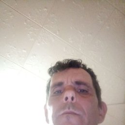 ������, ������, 41 ���