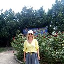 ���� ���� 2025 �� ������� ���� ����������