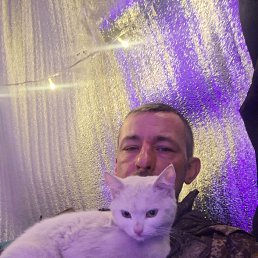 ���� ������, ����, 39 ��� - ��������� 31 ������ 2026