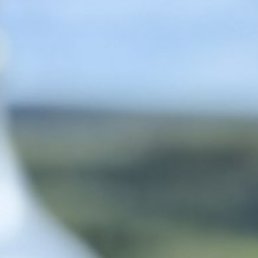 �����, �����, 56 ���