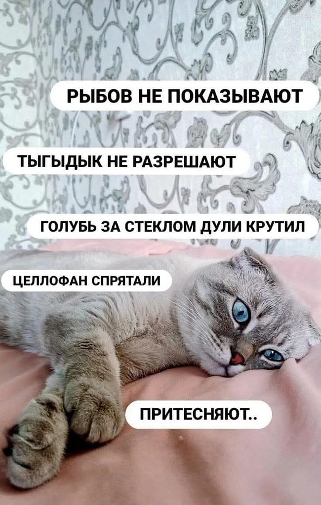   - 3  2025  06:52