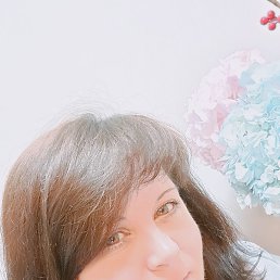 , , 50 