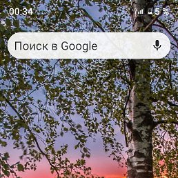 ������ �������, �������, 55 ���