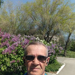 , 56, 