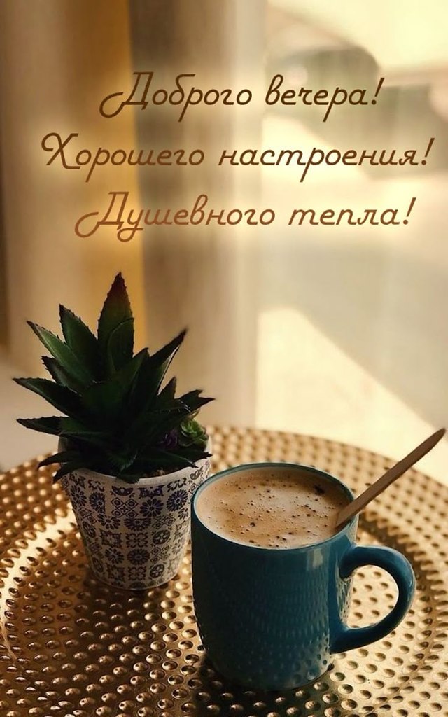   ,    . - 22  2025  19:35