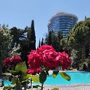 ���� ���������, �����-���������, 62 ���� - ��������� 31 ������ 2025 � ������ ���� ����������