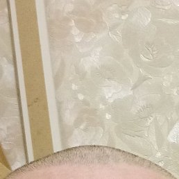 ������, �����������, 37 ���