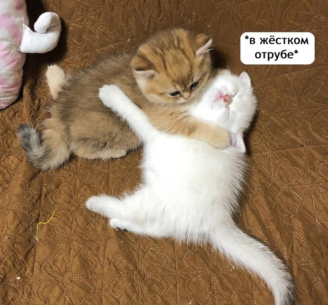   ,   - 3