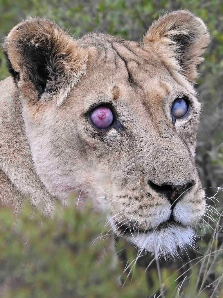 , 17-         ,    ... - 2