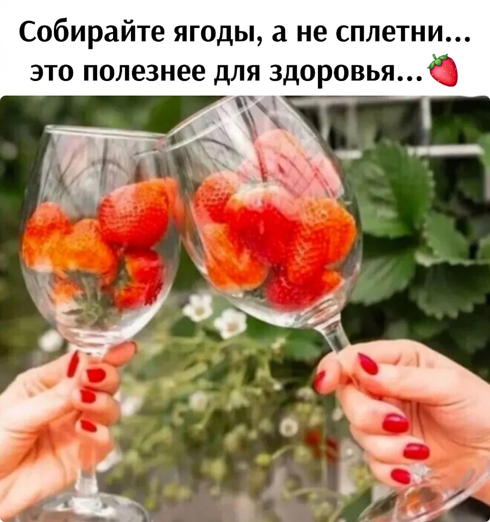   - 13  2025  16:22