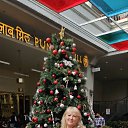 ���� �������, ������ - ��������� 26 ����� 2026 � ������ ���� ����������