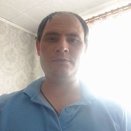 , 36, 