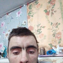 , 38, 