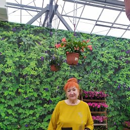 , 65, 
