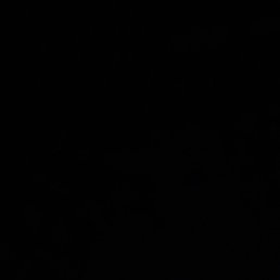 ����, ������, 27 ���