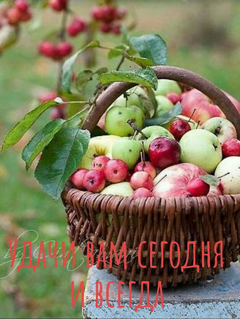   ,    . - 24  2025  12:29