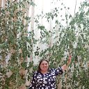 ���� ������, ������, 60 ��� - ��������� 29 ���� 2025 � ������ ���� ����������