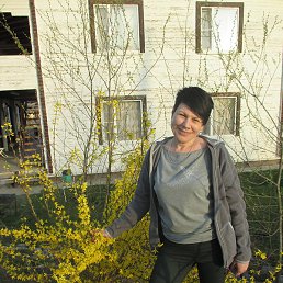 �����, ���������, 55 ���