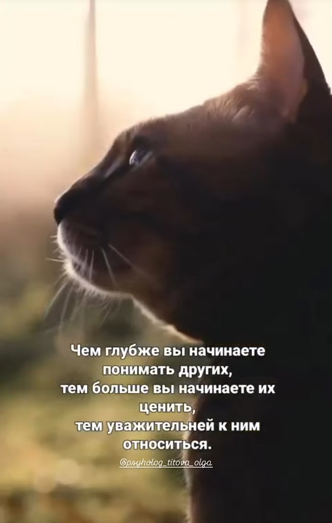   - 31  2025  03:42 - 2