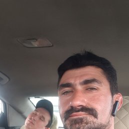, 40, 