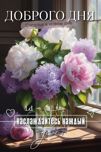   ,    . - 19  2025  13:15 - 5