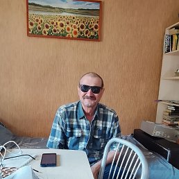 , 61, 