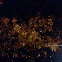 ���� ����, ������, 52 ���� - ��������� 18 ������ 2023 � ������ ������ ��������
