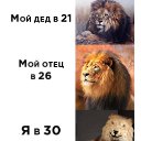 ���� ��������, ������ - ��������� 3 ��� 2026 � ������ ���� ����������