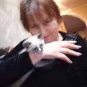 ���� ����, �������� - ��������� 9 ������ 2025 � ������ ���� ����������