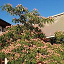 ���� �������, �����-�������, 59 ��� - ��������� 1 ���� 2025