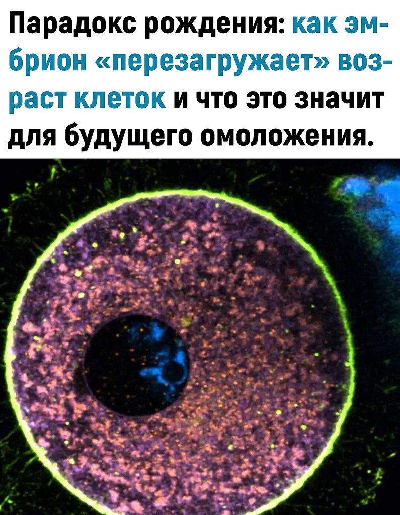 �a�o�o�o�: apa�o�c po��e���: �a� ���p�o� ��epe�a�p��ae� �o�pac� ��e�o� � ��o ��o ��a��� ��� ...
