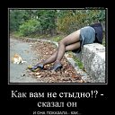 ���� �, ������ - ��������� 14 ������� 2026 � ������ ������ ��������