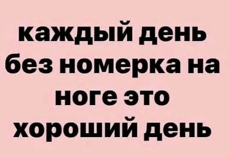 ***Victoria Viktorovna*** - 6  2025  00:56