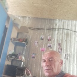 , 51, 